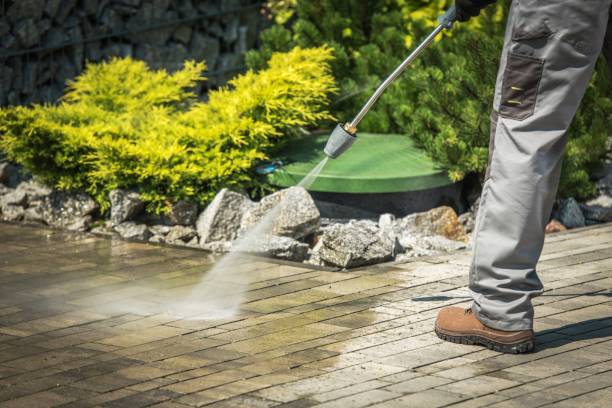Best Warehouse Cleaning  in Lake View, AL