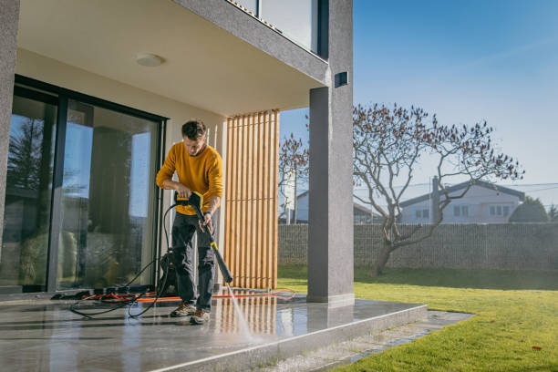 Best Fence Cleaning  in Lake View, AL