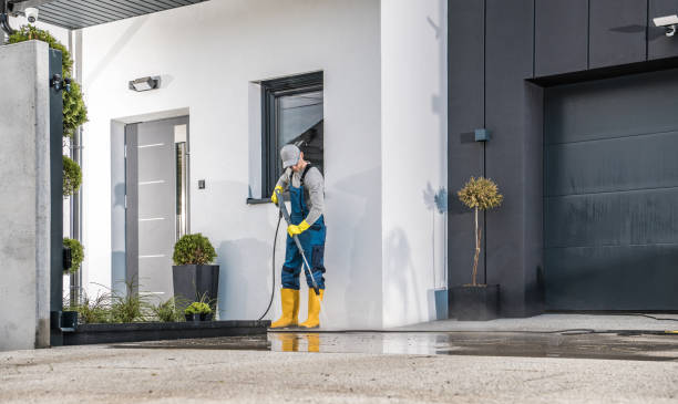 Best Fleet Vehicle Washing  in Lake View, AL